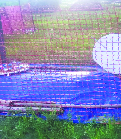 Image of মো: আসিফ হোসেন